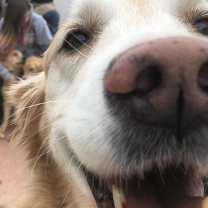 Fundraising Page: Bruce Haynes